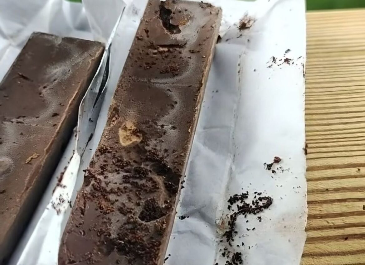 В шоколаде «Коммунарка» нашли живых червей. Что ответили специалисты фабрики? Шоколад с червями
