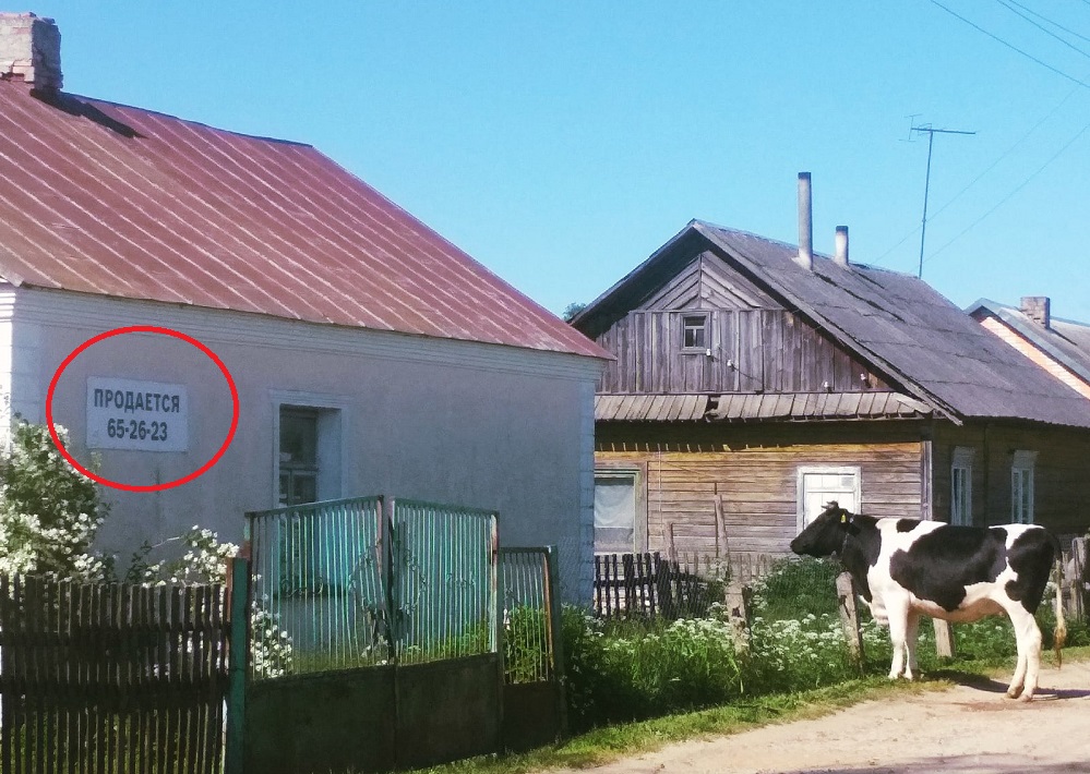 Бурёнке приглянулись хоромы