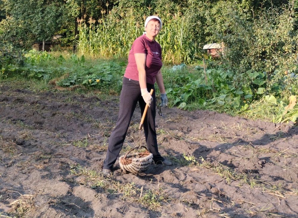 На картошку!