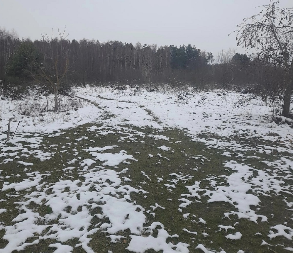 Маловато снега