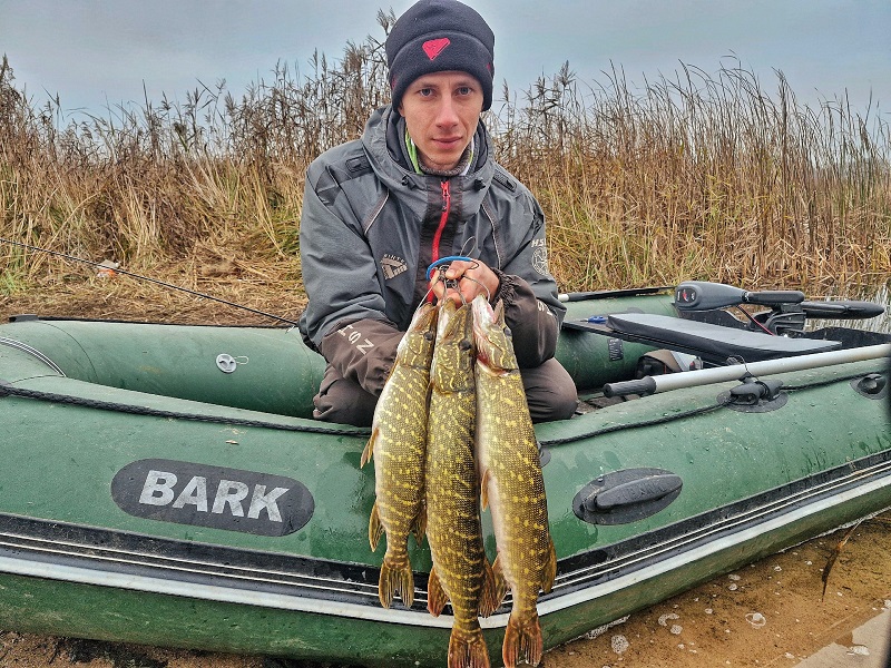 Юрий Сидорович