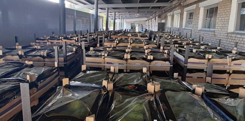 Тонны груш без документов: витебские таможенники снова на посту груши на границе