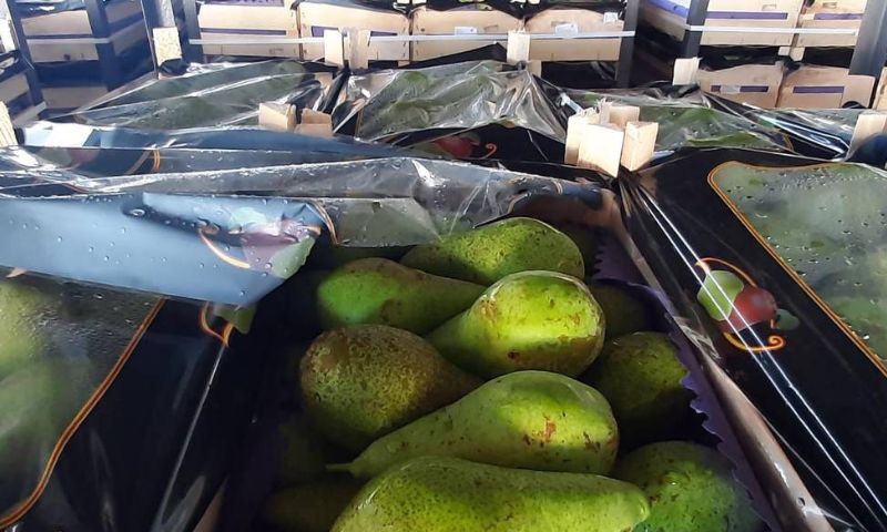 груши на границе