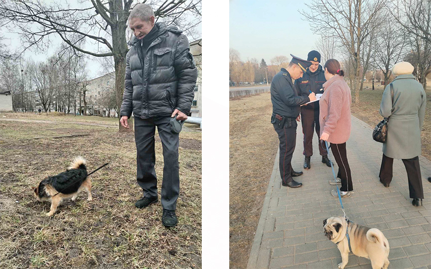 выгул собак