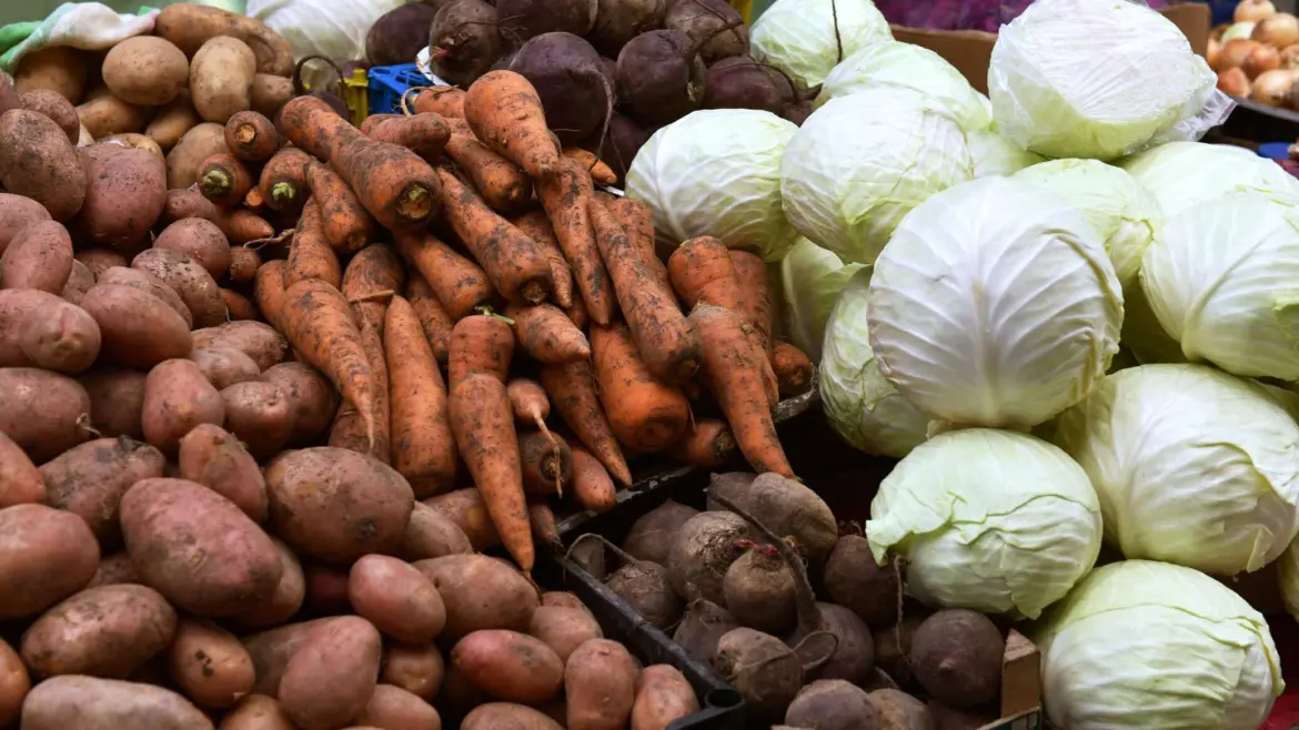 Цены на овощи и яблоки в Беларуси заморозили урожай овощей