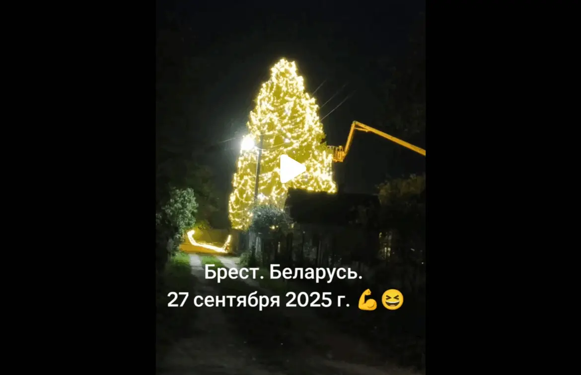 На улице осень, а в Бресте уже новогодняя ёлка новогодняя ель