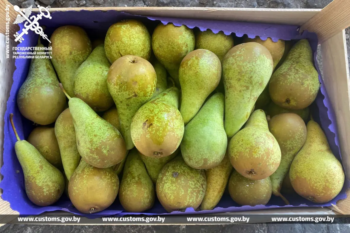 Фруктовый стоп – таможня ловит груши тоннами
