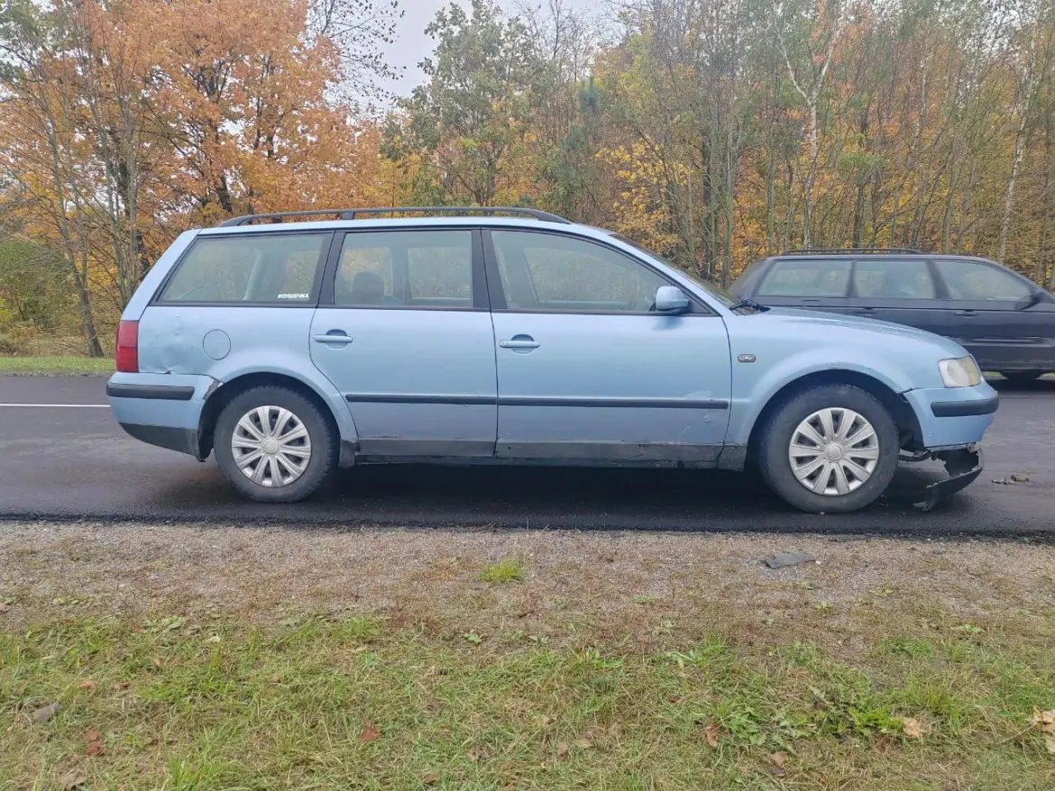 В Ляховичском районе под колёса авто выбежала косуля машина которая сбила косулю