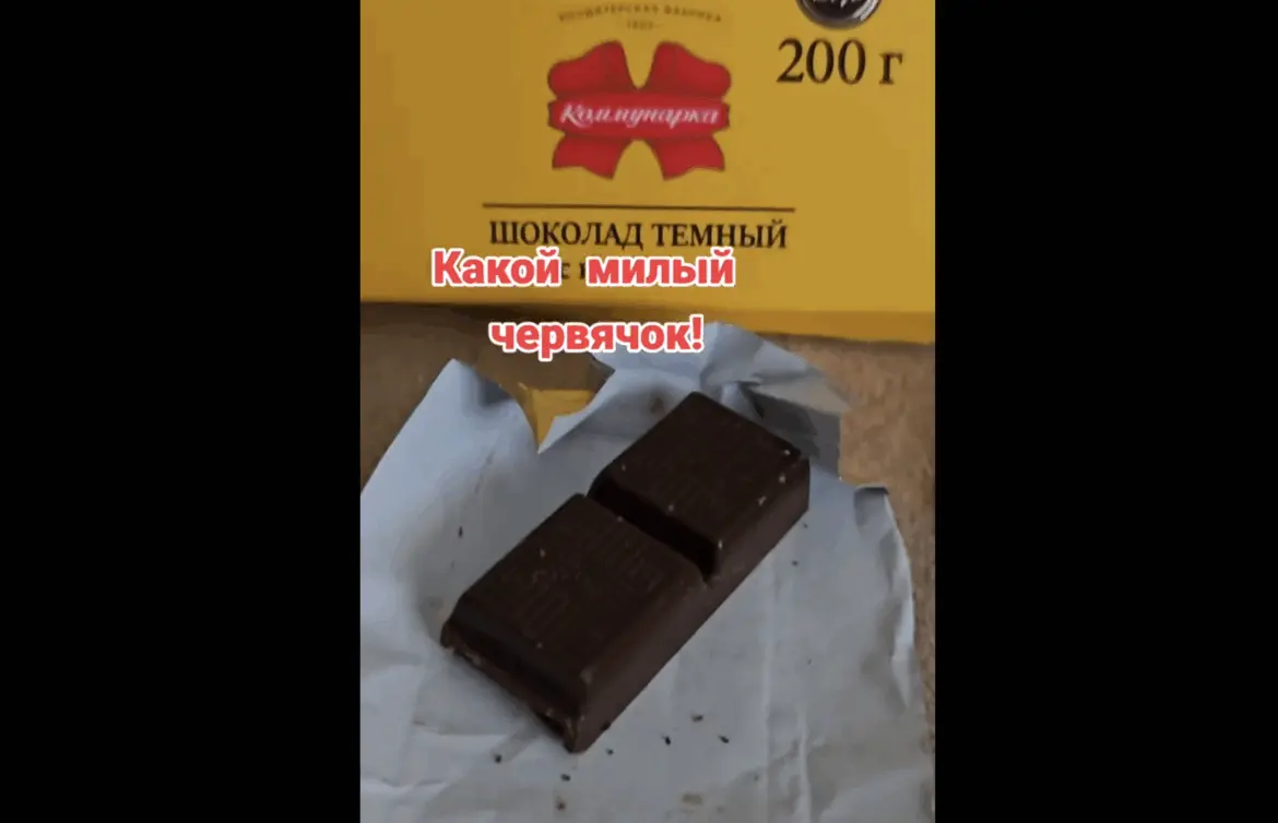 Шоколад с живой начинкой? TikTok обсуждает сюрприз от «Коммунарки» червячок