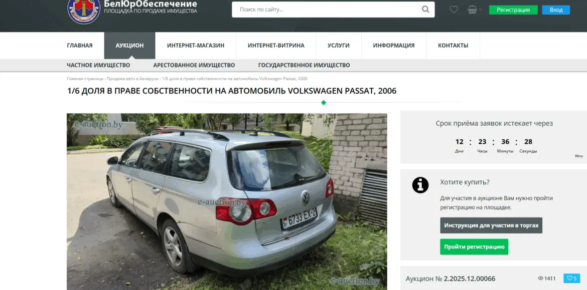 Аукцион по частям — теперь и Passat кусочками 1/6 машины продается с аукциона