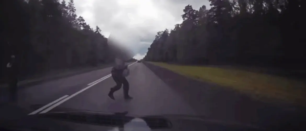 Смертельное ДТП в Быховском районе завершилось приговором суда дтп быхов